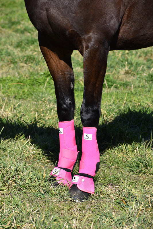 Horse wearing pink protective leg wraps tendon boots bell boots on grass