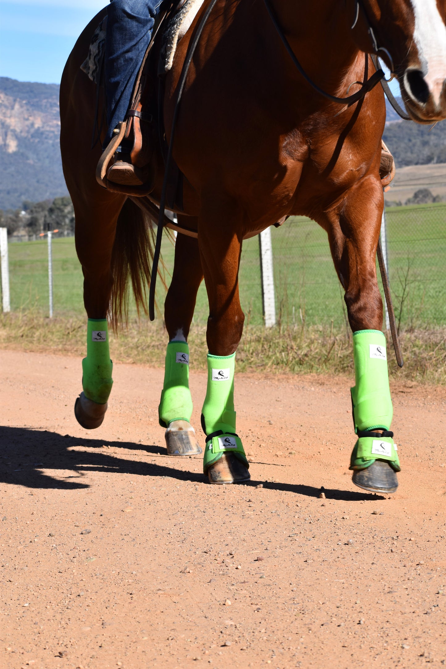 Horse wearing green leg wraps tendon support boots on a dirt path with a mountainous background