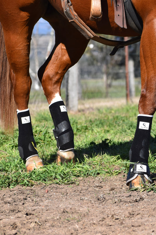 Horse wearing protective tendon and bell boots on a grassy field with mountains in the background