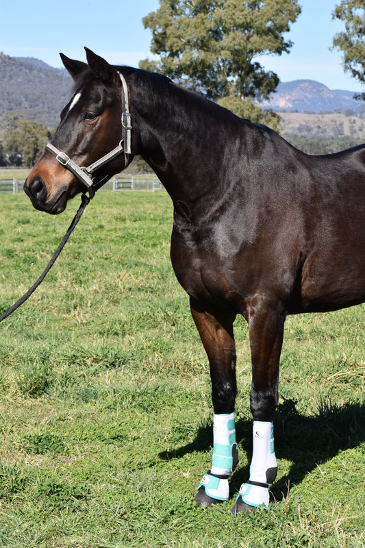 White & Peppermint Front Boots (Splint Guard)
