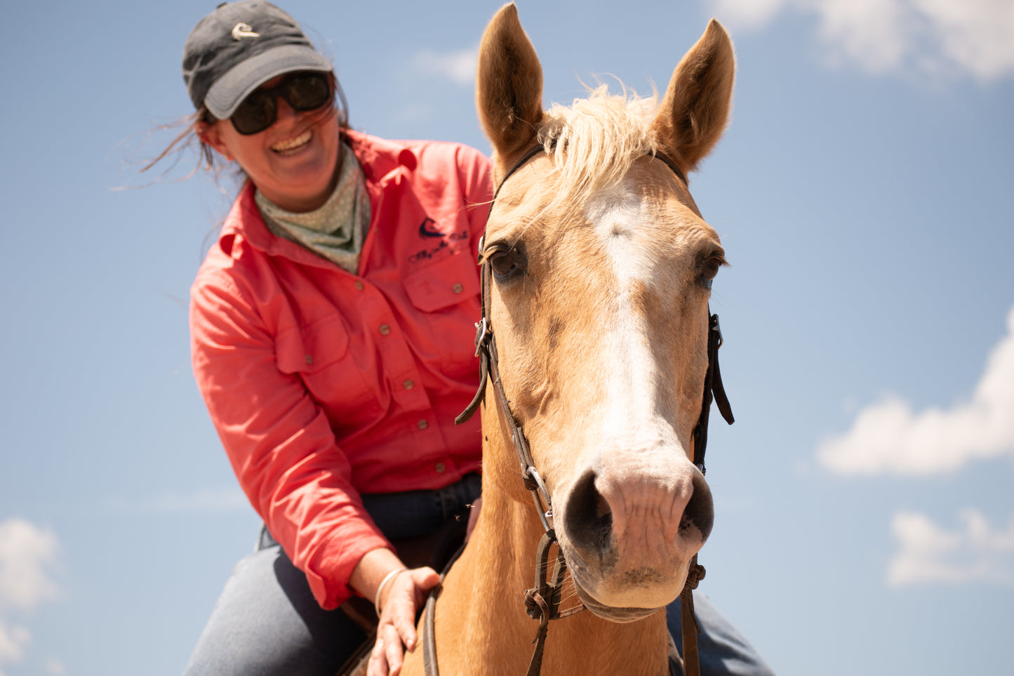 Navy Cotton FitD Cap