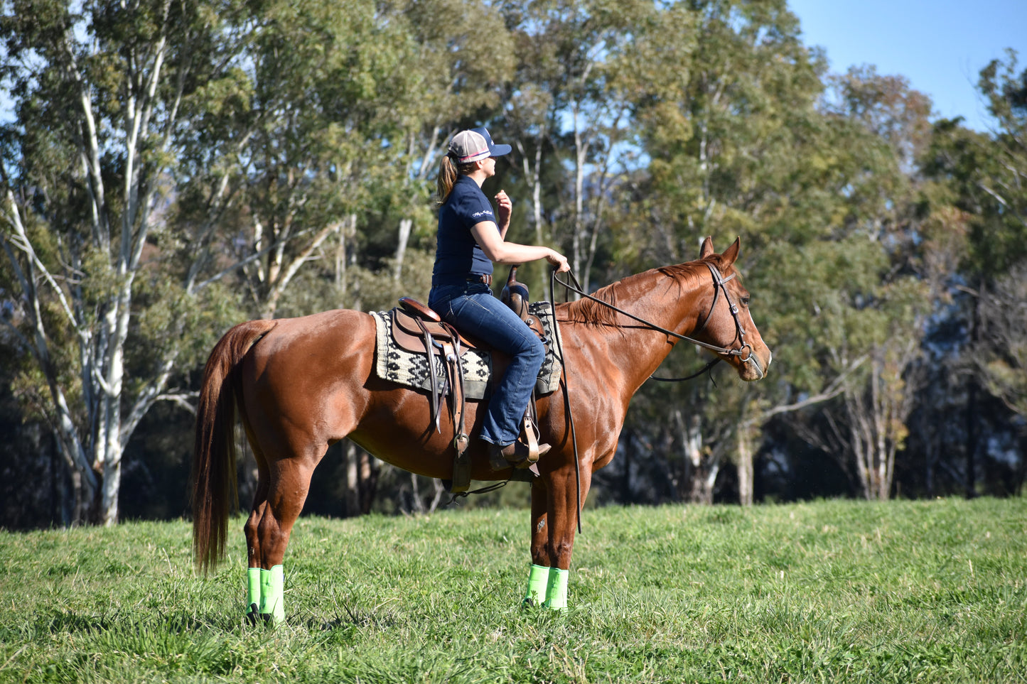 Person riding a chestnut horse in a grassy field with trees in the background with green protective tendon support boots