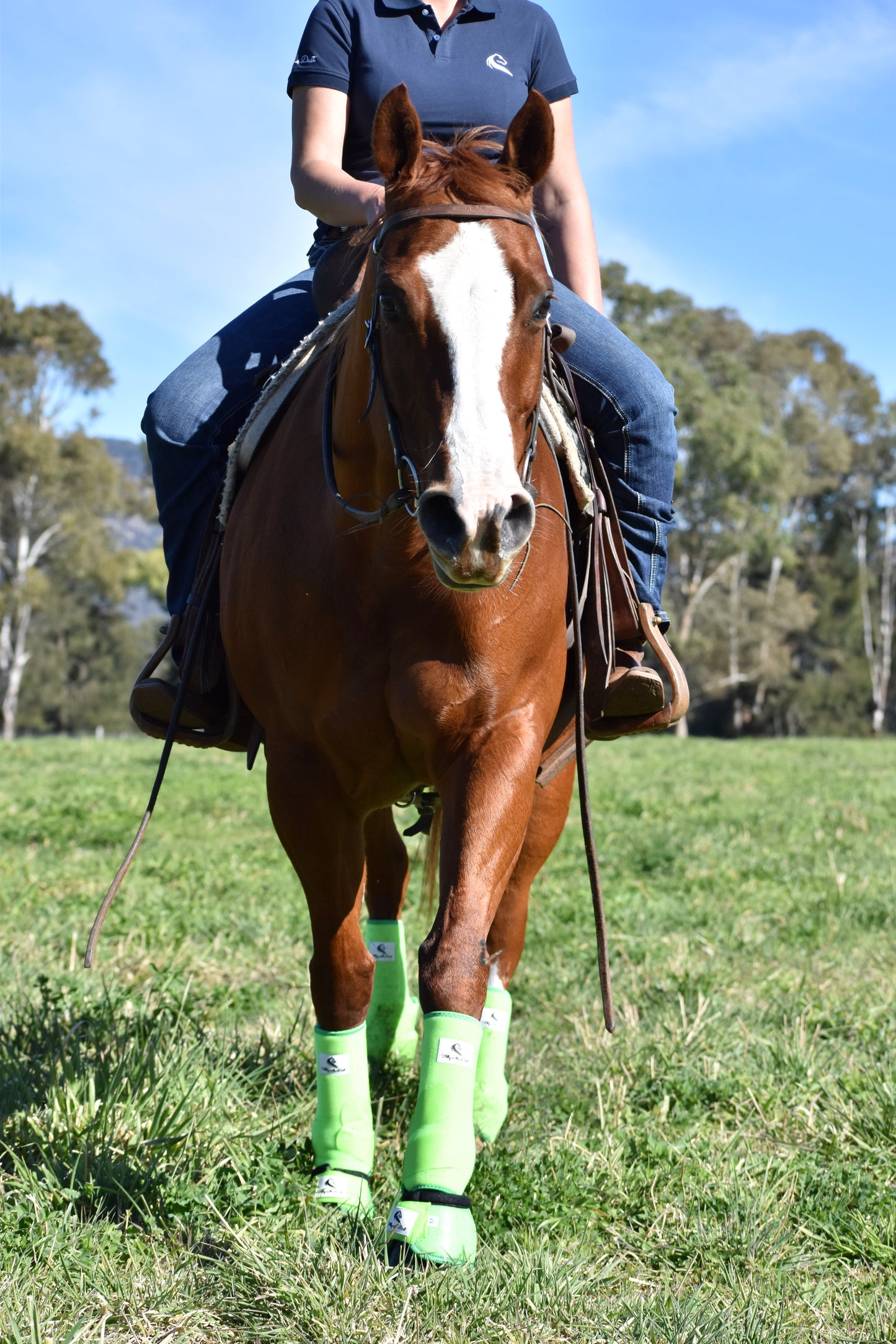 Person riding a chestnut horse with green leg wraps in an outdoor setting