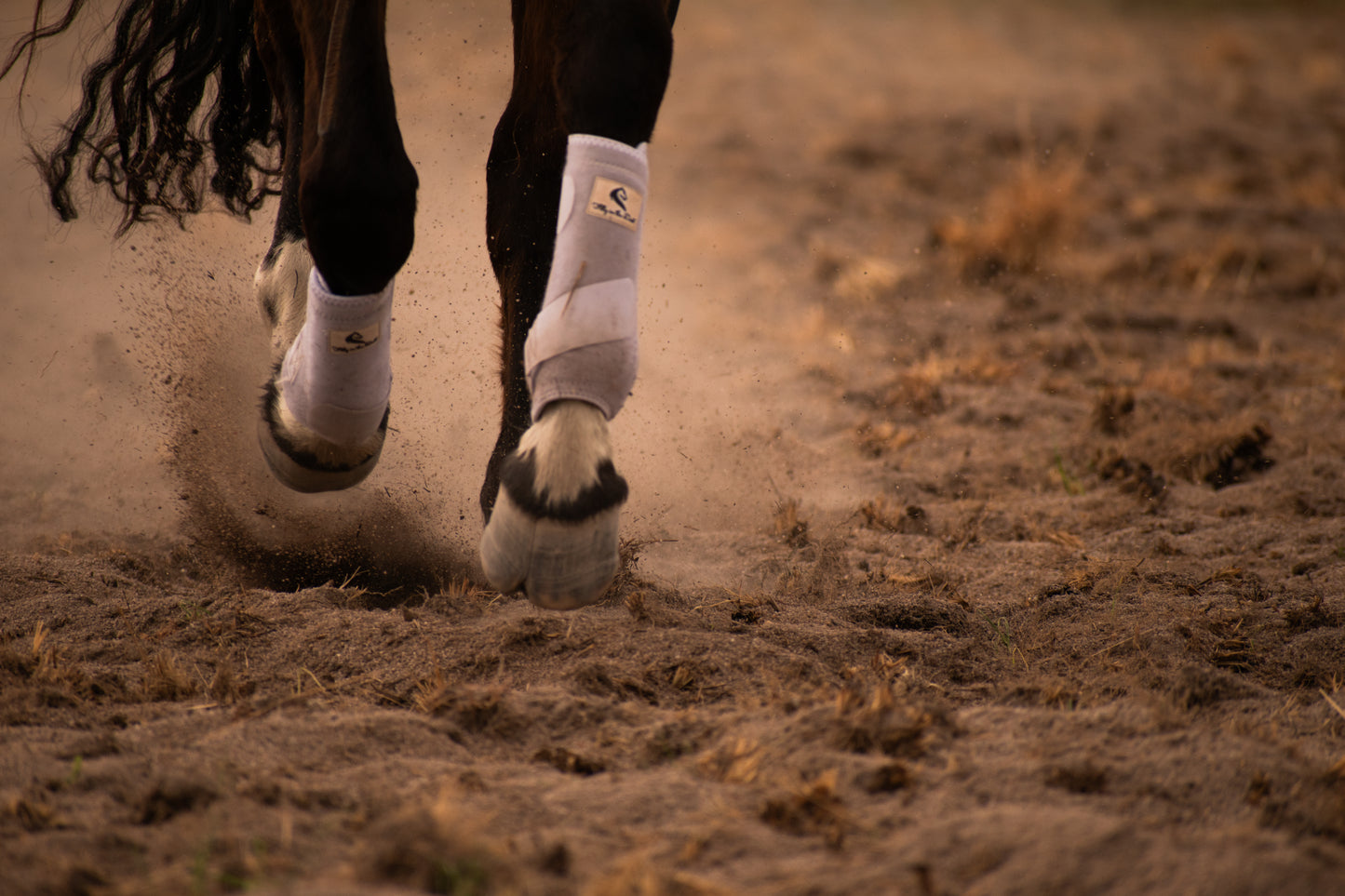 White Tendon Sling Boots - Front