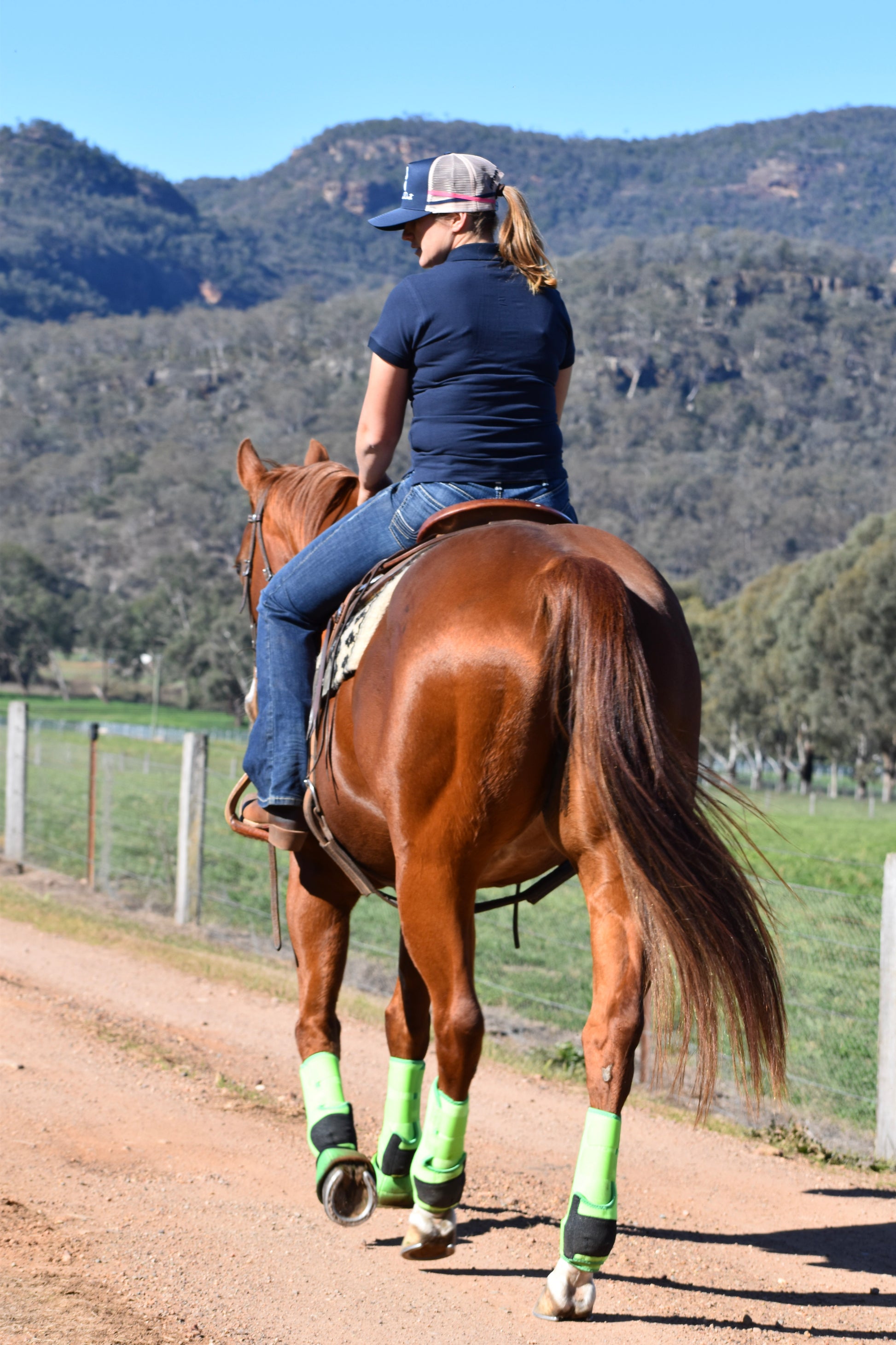 Person riding a  chestnut horse with green protective tendon and bell boots on a dirt path with mountains in the background