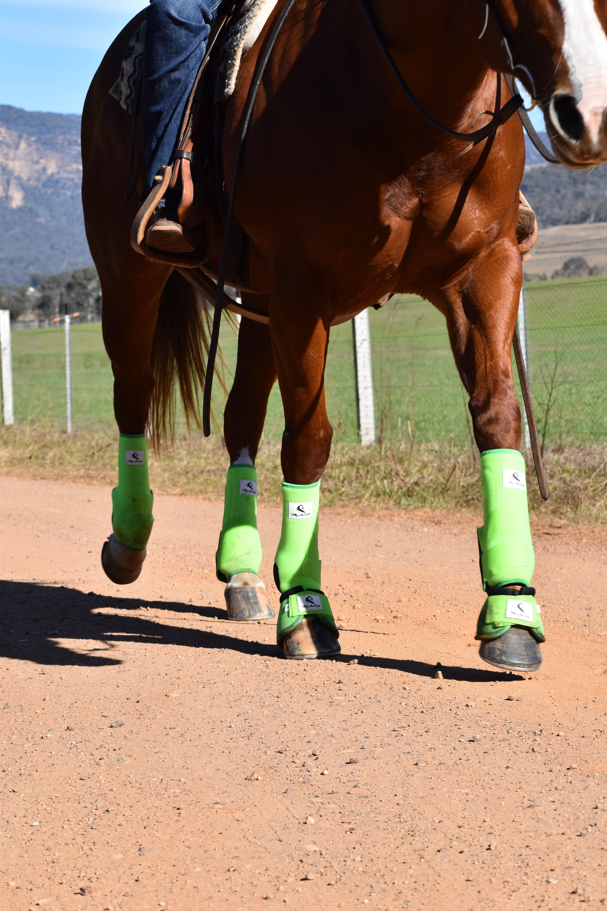 Horse wearing green leg wraps tendon support boots on a dirt path with a mountainous background