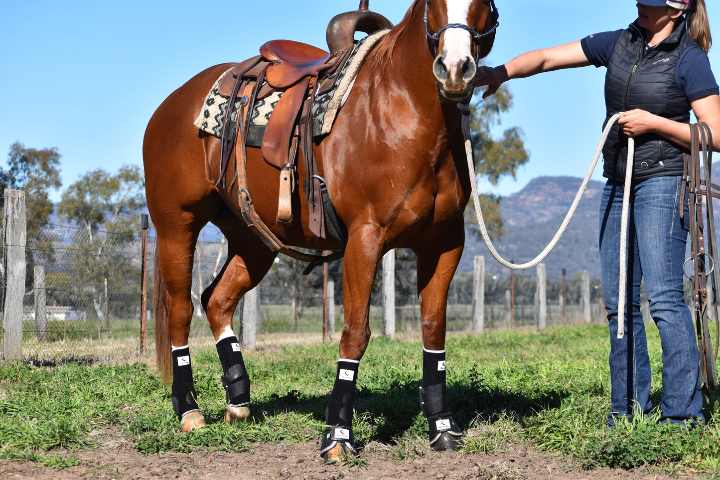 Black Front Boots (Splint Guard)