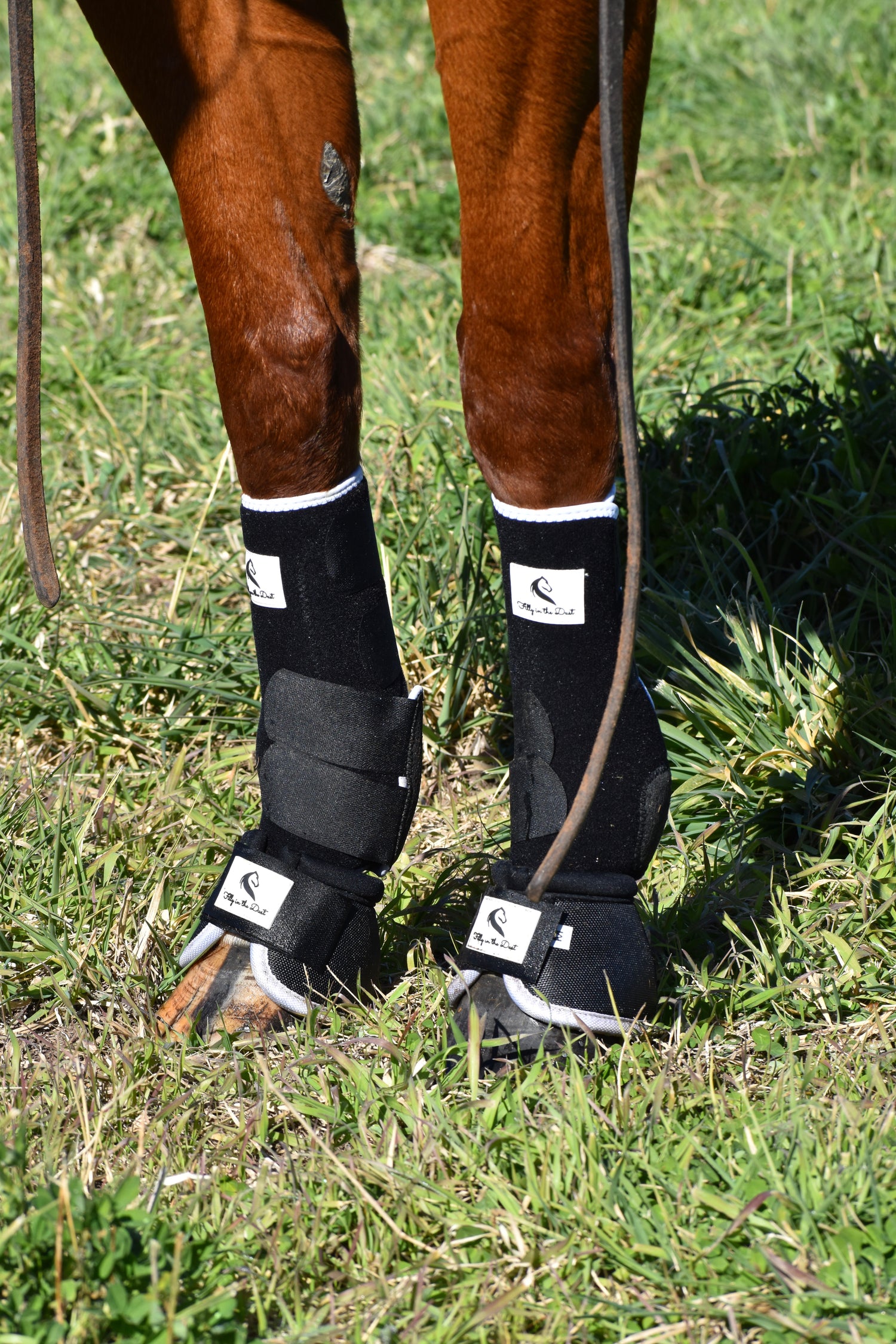 Horse legs wearing protective leg wraps tendon support boots and bell boots on a grassy field