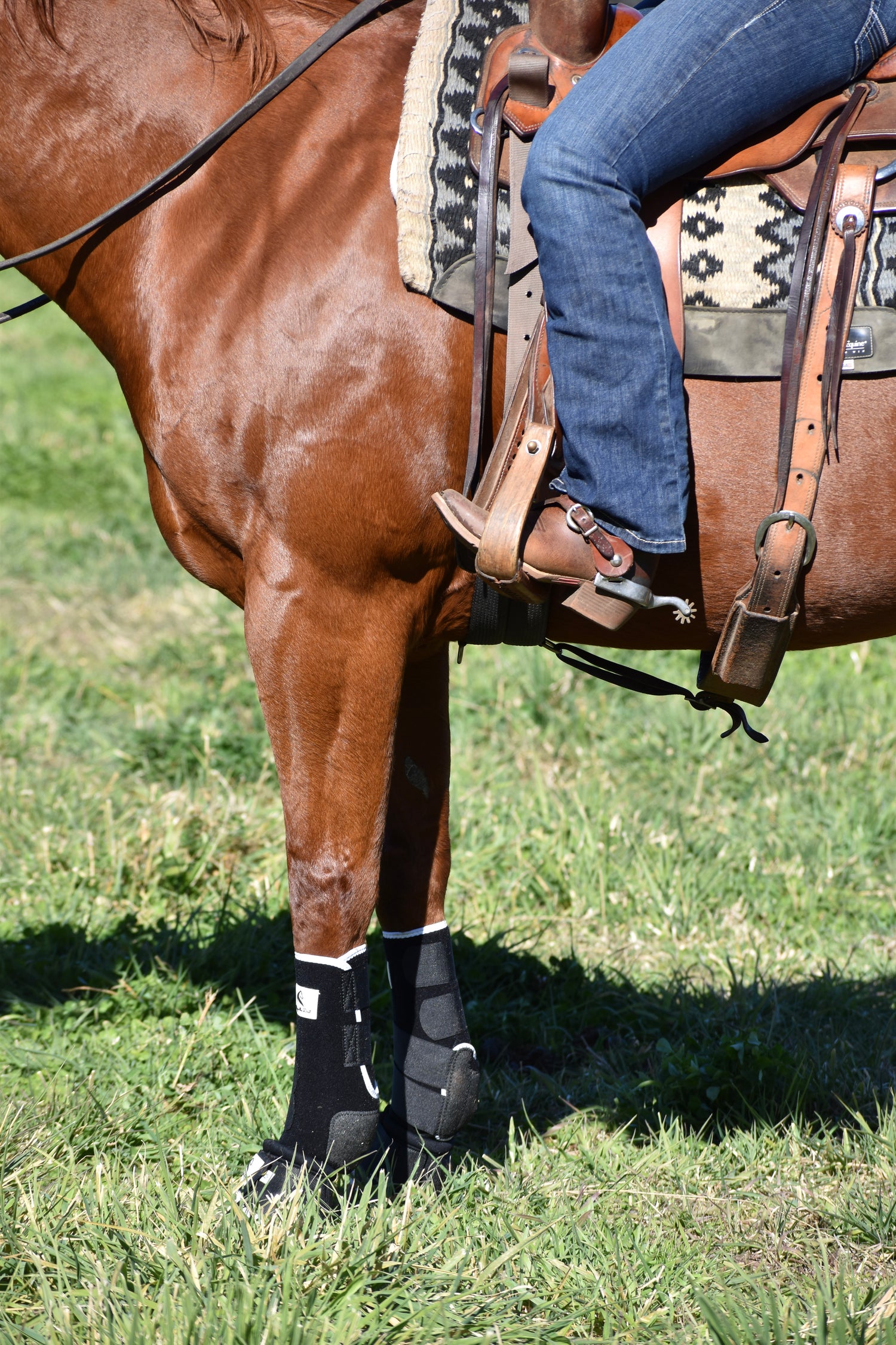 Horse wearing protective tendon and bell boots with a person sitting on a saddle in a grassy area